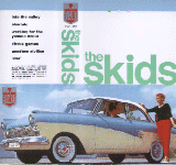 The Skids video cover