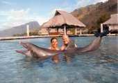 Swimming with dolphins in Moorea